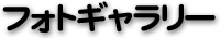 フォトギャラリー
